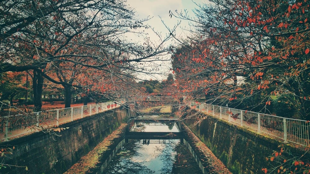 national-public-holidays-in-japan