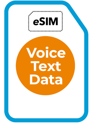 Japanese Voice eSIM